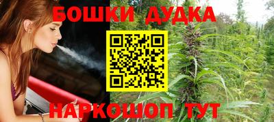 сатива Будённовск