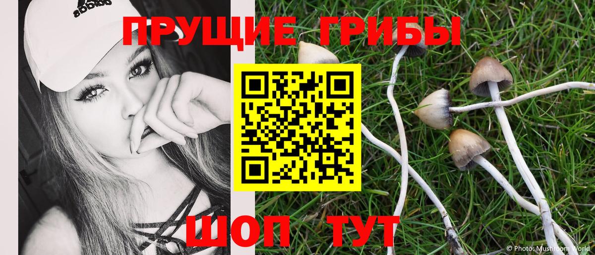 где купить   Псилоцибиновые грибы прущие грибы  Вход с VPN  Наро-Фоминск 